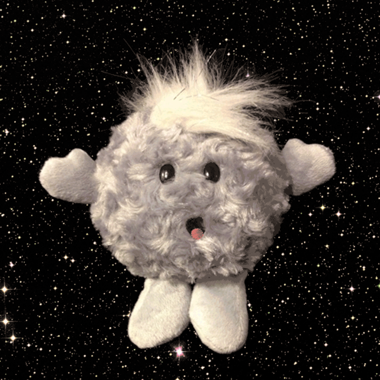 Comet Buddy: The Long-Distance Traveler of the Solar System