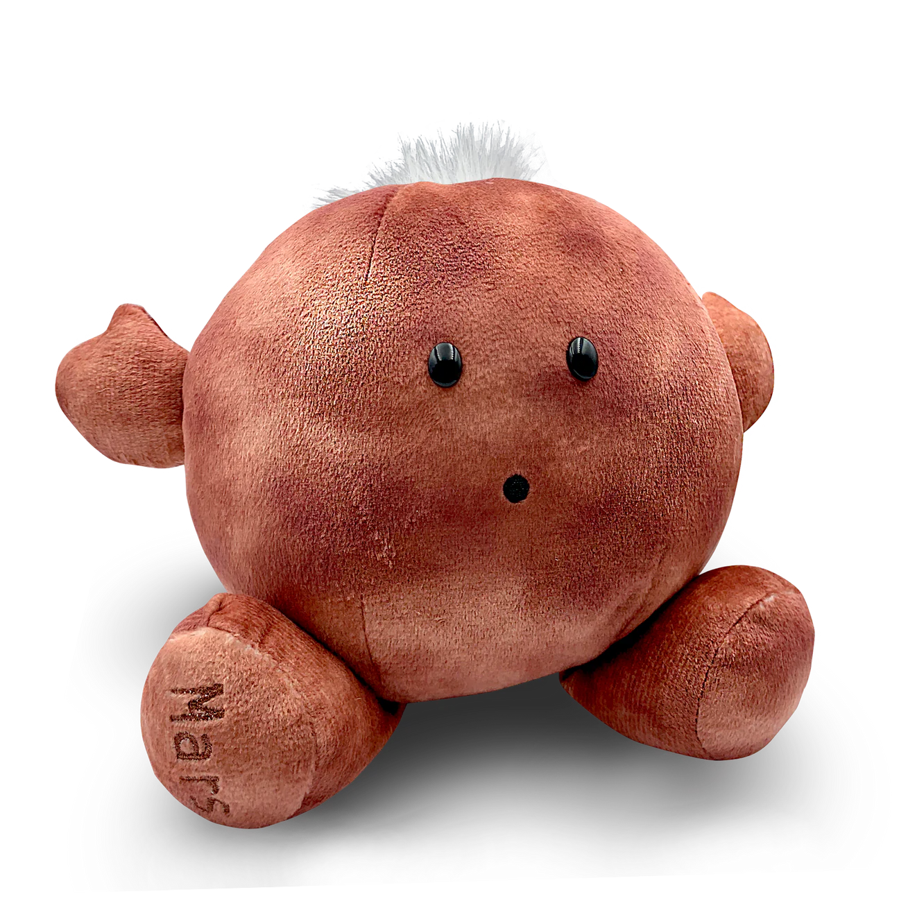 Mars Buddy: Your Friendly Red Neighbor