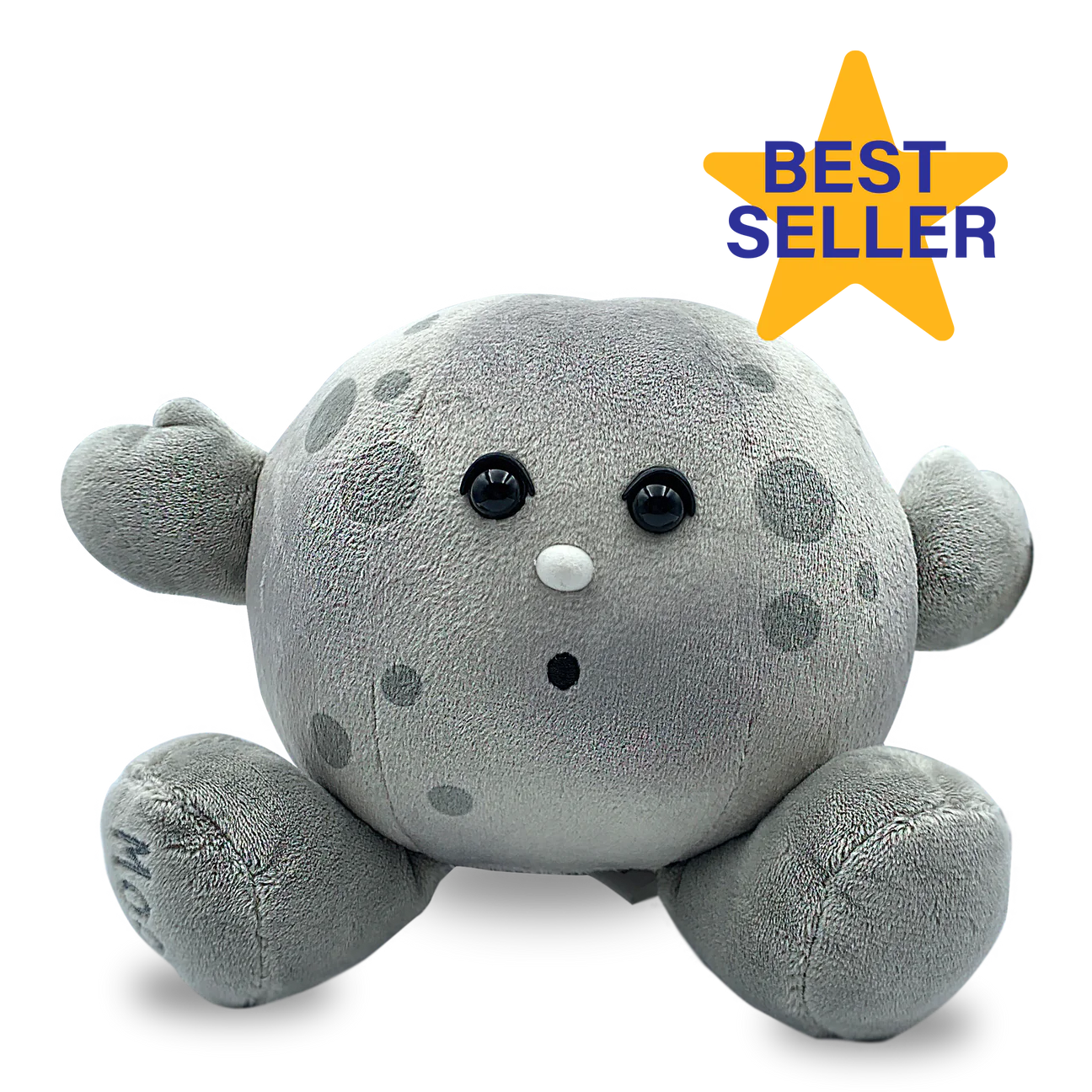 Moon Buddy: Your Loyal Cosmic Companion