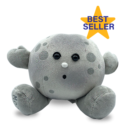 Moon Buddy: Your Loyal Cosmic Companion